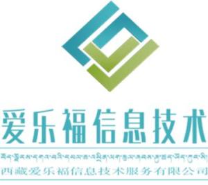 西藏愛(ài)樂(lè)福信息技術(shù)服務(wù)的專業(yè)支持與發(fā)展前景